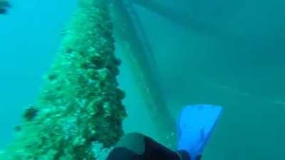 Louisiana Offshore Drill Rig Diving