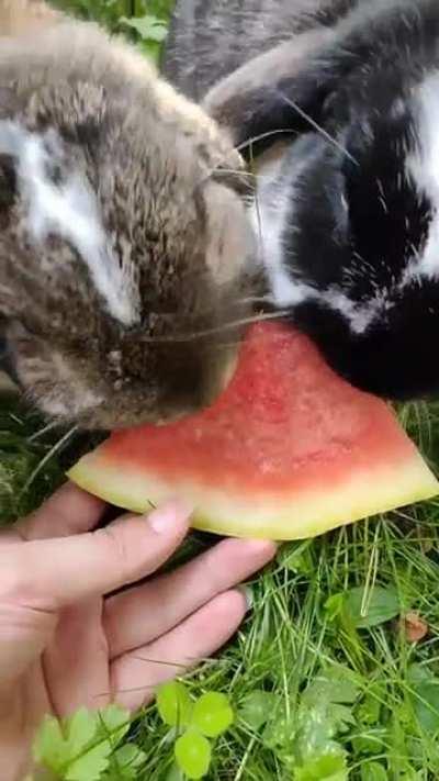 Fresh dose of dopamine ✨🔊