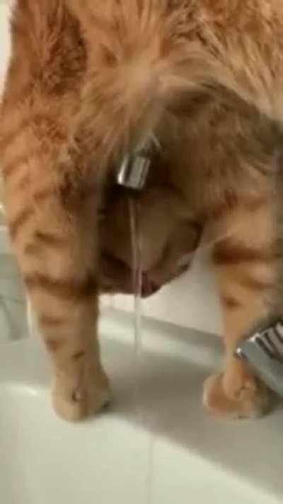 What? This is how I like to drink