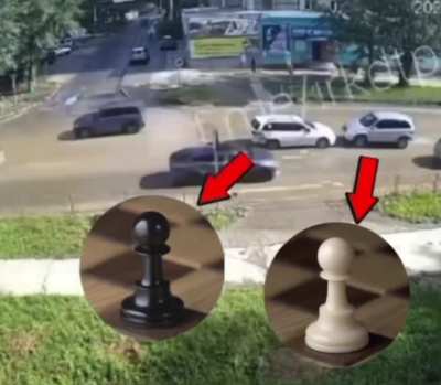 What should I do in this position ?(I am the white cat)