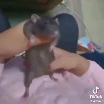 Que movimientos 👻