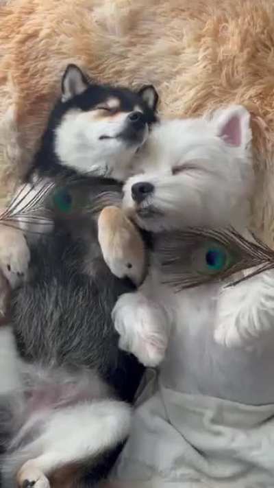 A Relaxing SPA Day Together