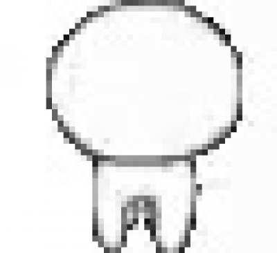 This is my sprit anmial