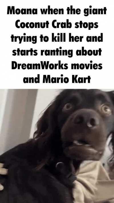 SHOOT THEM WITH THE DEHYDRATION GUN!!!!!!!!!