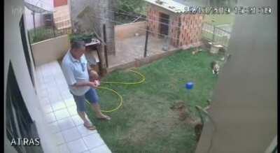 Honey...No more Ant problems....