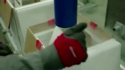 The only legitimate president in the world right now!