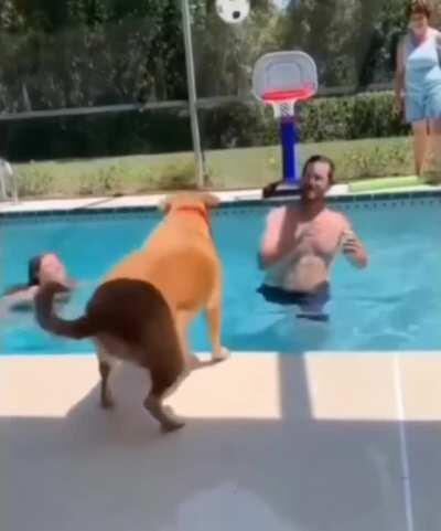 She's better at basketball than I am