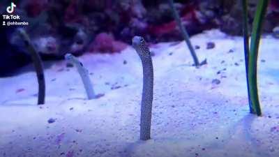 Made a new friend at the aquarium 😊