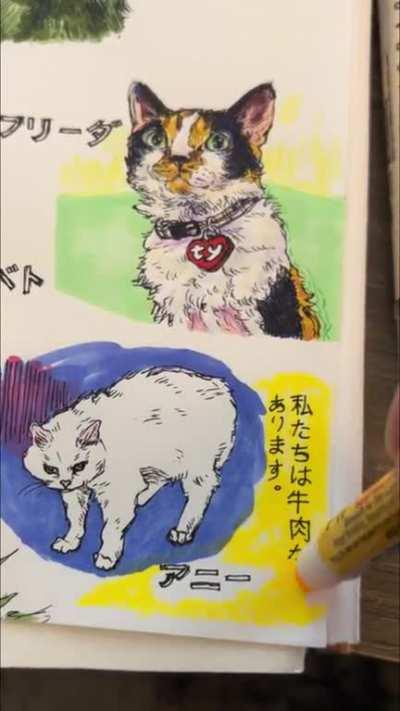 something was missing in my life... until I got this sketchbook