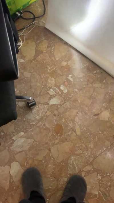 eating the Osak… 😋 10/10 would recommend 