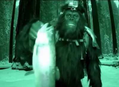 Some will say this is a Fake BigFoot Video