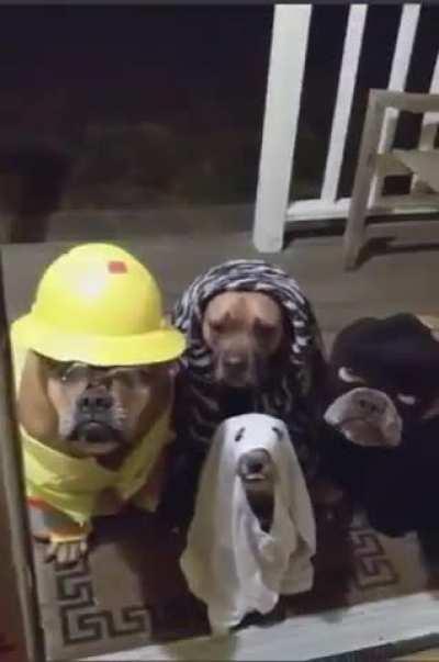 Very unexpected company