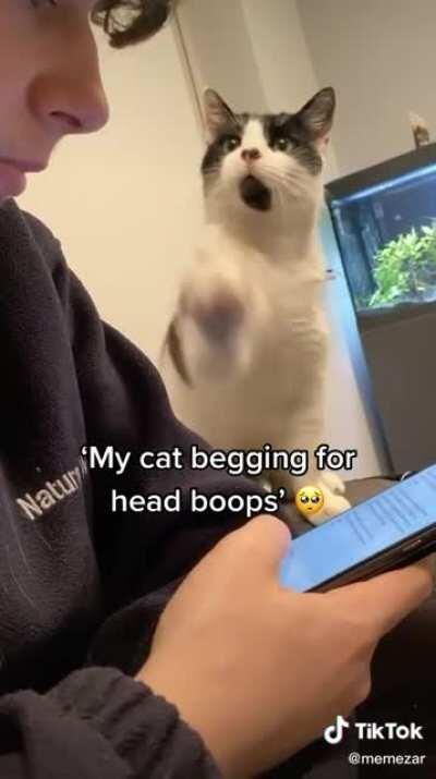 something wholesome for u guys :D