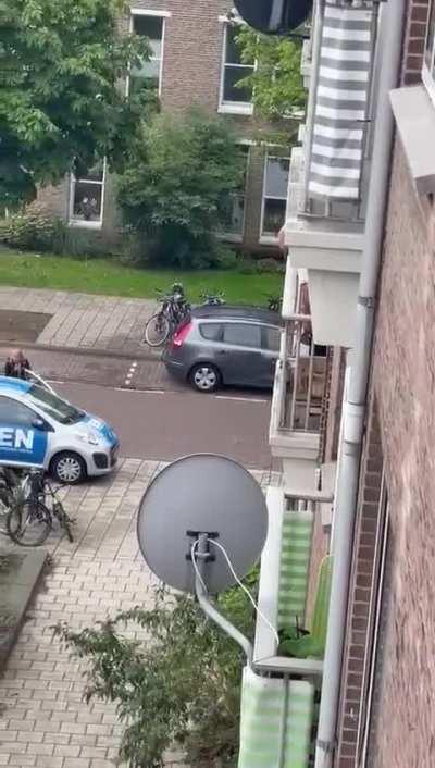 Meanwhile in the Netherlands