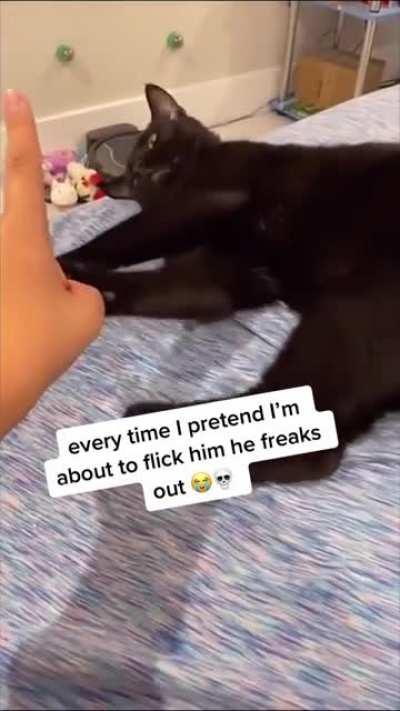 Сломал, пёс!