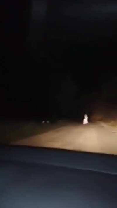 Ai greșit țara, fantoma mea..