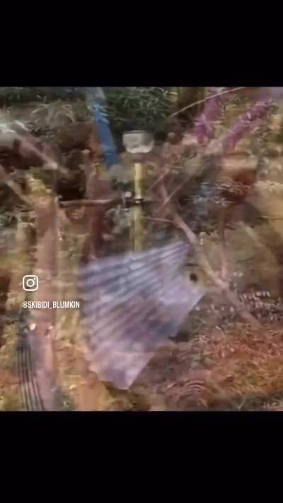 losercity instrument