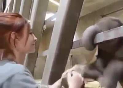 I love how you can see the level of excitement just by how open the baby's eyes are