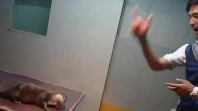 Ah, you see!.. Is he still looking? - Oh my God.