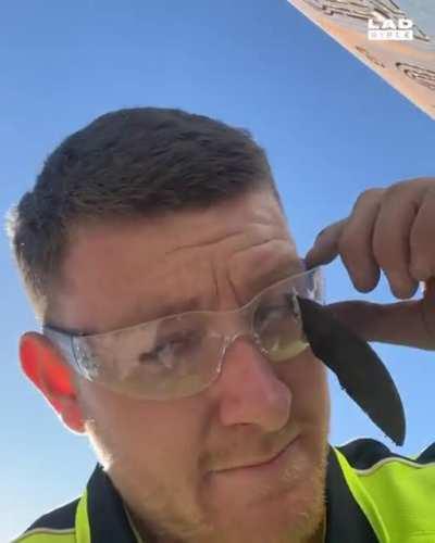 Se salvo por un pelo....