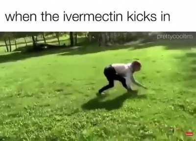 When the ivermectin kicks in