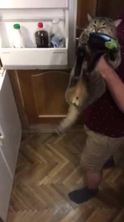 An eggplant of all things!