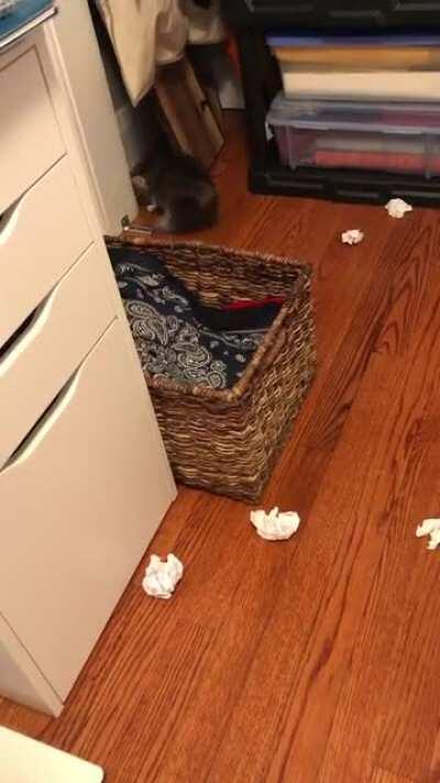 The new intern is terrible at filing paperwork...