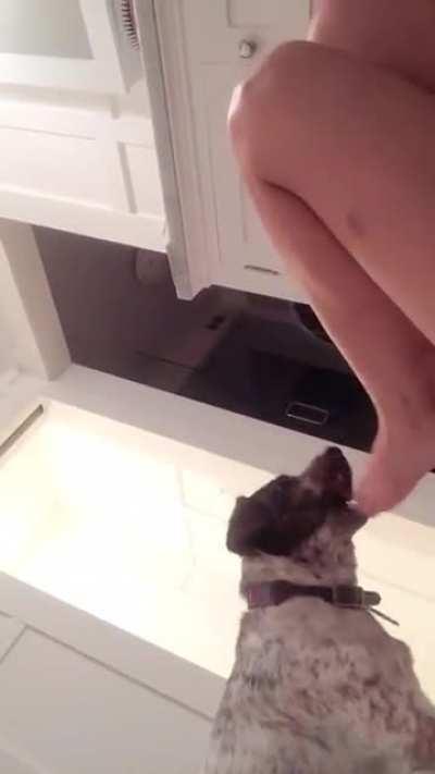 Milana Playing With Her Dog