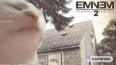 literally me vibing to any Eminem song: