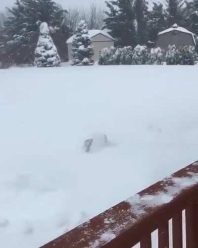 To go swimming in the snow...