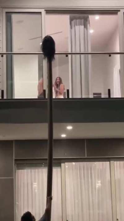 Happy Halloween Everybody! 🎃