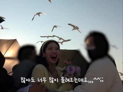 Dahyun's nervous laugh when she was surrounded by seagulls