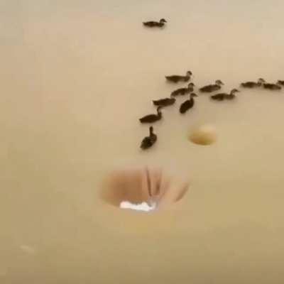 Time to enter the hole