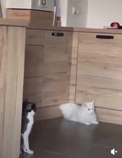 I am in your walls I am in your walls I am in your walls I am in your walls I am in your walls I am in your walls 