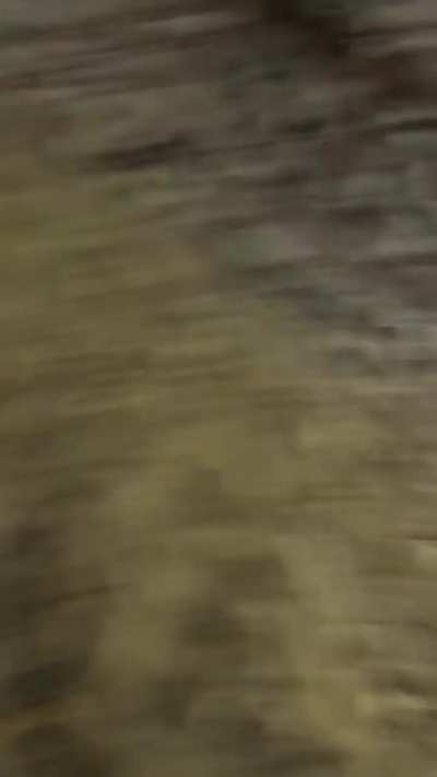 Cursed converted 410 shotgun first test😂