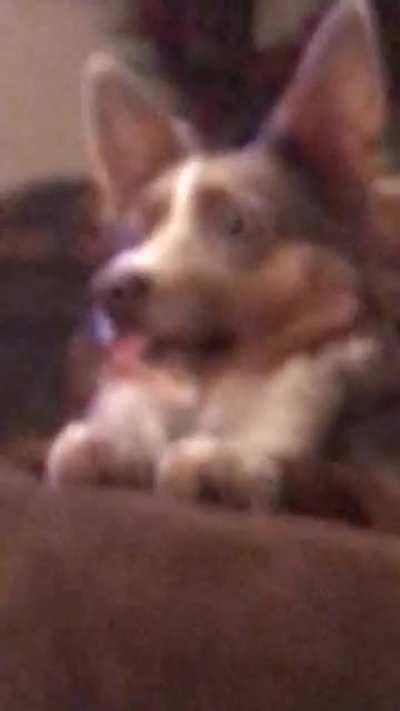 She was like this for a good whole minute