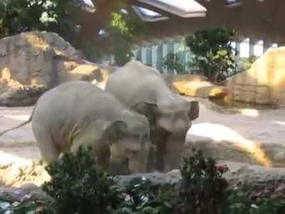 MOM, DAD HELP I FELL