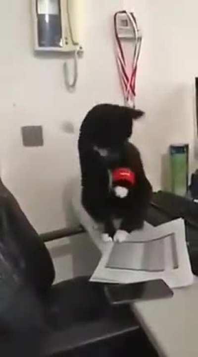 He became the joker for a minute there