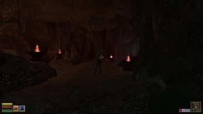 POV: You're from Elsweyr