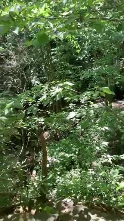 [reddit / discord : couch#5162] 21 M 6” relapsing my porn addicition. Hypnotize me.. change my kinks, change my thoughts and interests or make your kinks mine. Help me goon out my brains