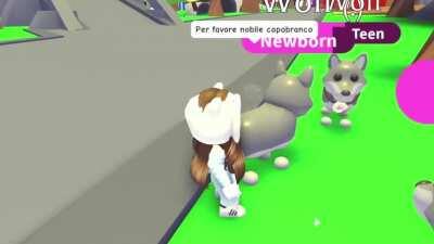 Per favore nobile capobranco D: