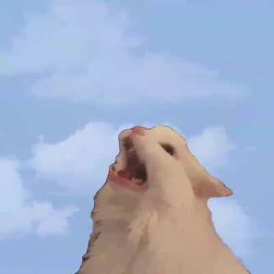 Oh no his flying away