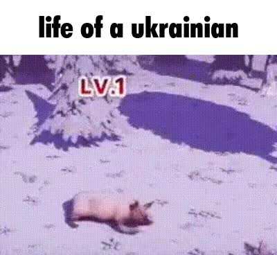 Special needs operation summarised