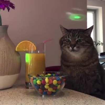 me at any party after five seconds of socializing