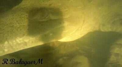 Guy snorkeling in an underwater cave comes face to face with a big crocodile.