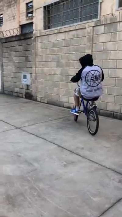 Pega o lourider do pae 😎