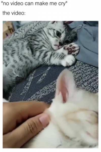 No video can make me 😭😢