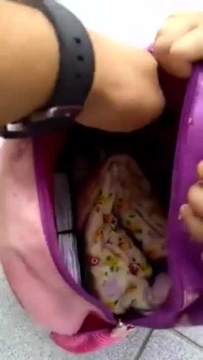 She packed the puppy for school