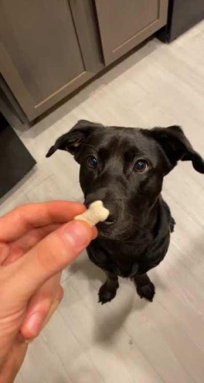 Just look at that doofus face. This is our son Cosmo ☺️