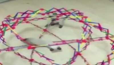 Day 34 of posting fnaf memes everyday until the movie comes out: